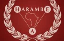 Harambe Entrepreneurship Alliance